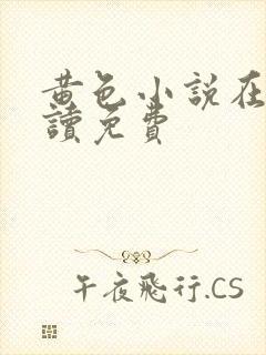 黄色小说在线阅读免费封面
