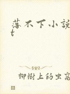 落不下小说txt