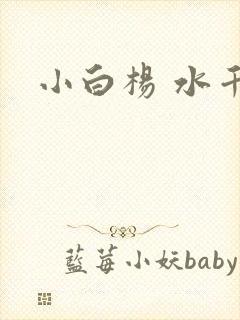 小白杨 水千丞