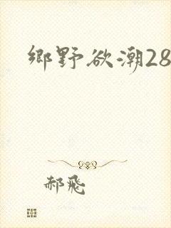 乡野欲潮28章