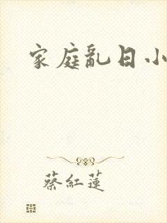 家庭乱日小说