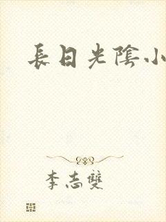 长日光阴小说