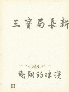 三宝局长新编封面