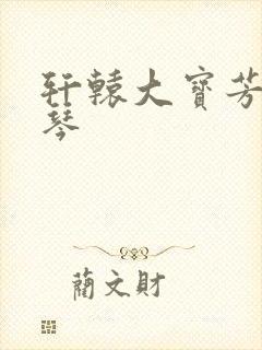 轩辕大宝芳菲雅琴封面