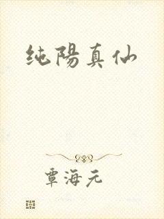 纯阳真仙封面