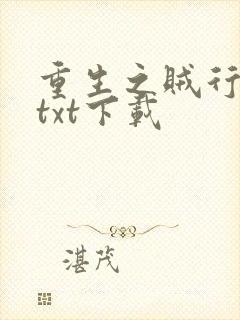 重生之贼行天下txt下载
