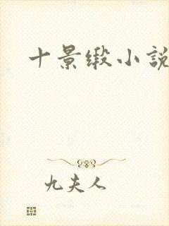 十景缎小说