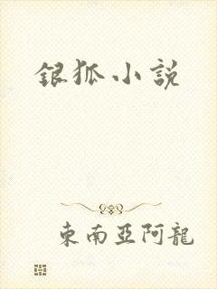 银狐小说