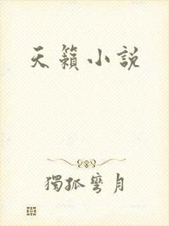 天籁小说