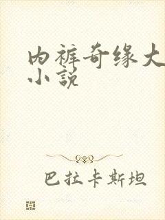 内裤奇缘大团结小说封面