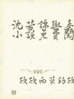 沈若锦与秦琅的小说免费阅读