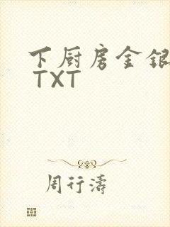 下厨房金银花露 TXT封面