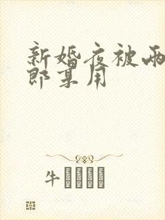 新婚夜被两个伴郎享用