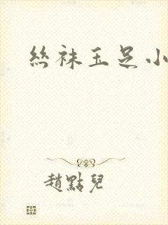 丝袜玉足小说