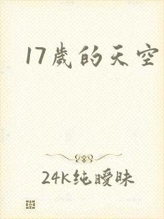 17岁的天空封面