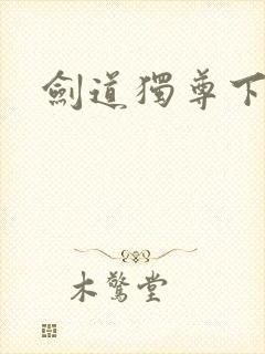 剑道独尊下载