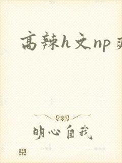 高辣h文np爽
