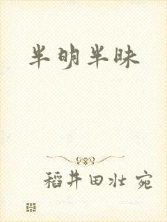半明半昧