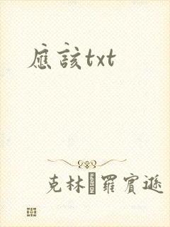 应该txt