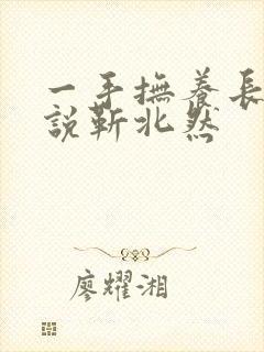 一手抚养长大小说靳北然