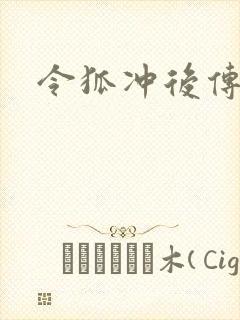 令狐冲后传