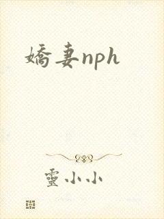 娇妻nph