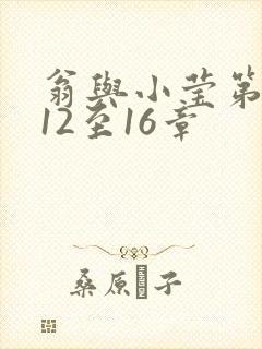 翁与小莹第十部12至16章