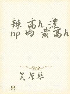 辣 高h 浓 np 肉 黄高h