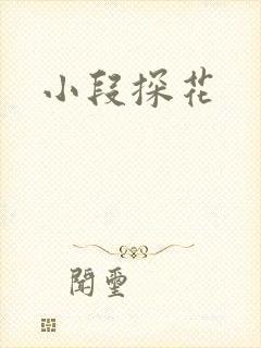 小段探花