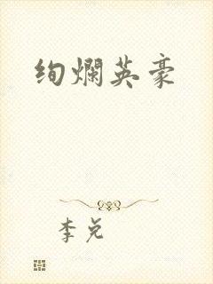 绚烂英豪封面