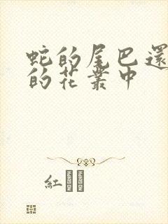 蛇的尾巴还在我的花丛中