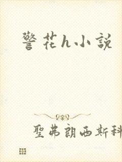 警花h小说