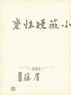 变性晓薇小说