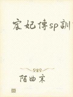 宸妃传sp训诫封面