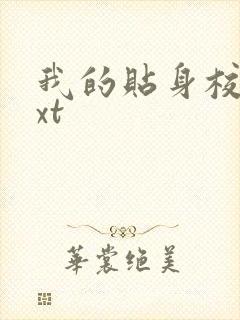 我的贴身校花txt