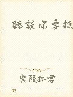 听说你要抵抗我