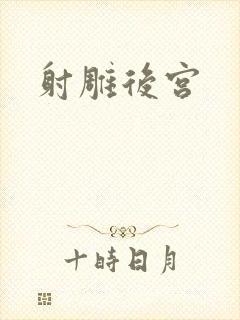 射雕后宫封面