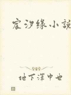 宸汐缘小说