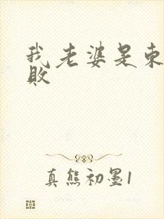 我老婆是东方不败