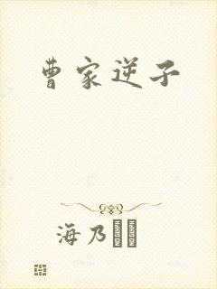 曹家逆子