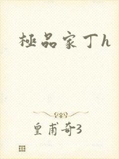 极品家丁h