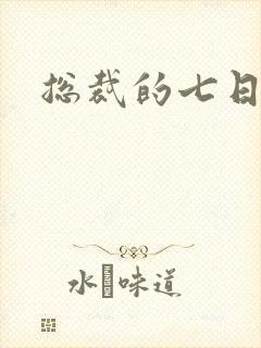 总裁的七日恋人