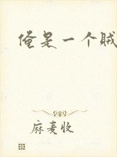 俺是一个贼