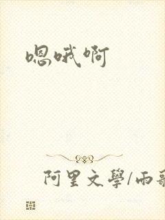 嗯哦啊封面