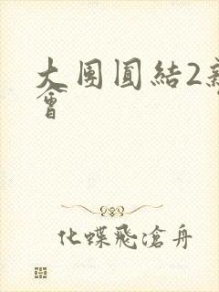 大团圆结2亲情会