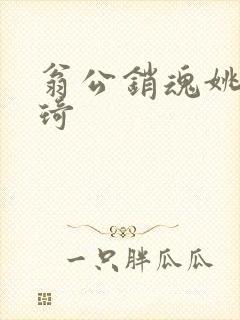 翁公销魂姚瑶琦琦
