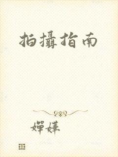 拍摄指南