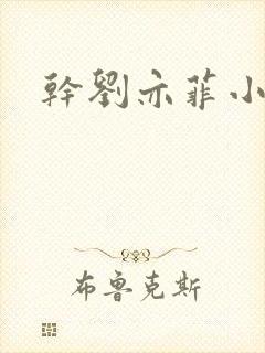 干刘亦菲小说