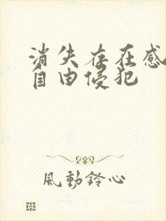 消失存在感消失自由侵犯