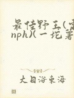 最佳野王(电竞nph)(一坨薯饼)_无拼音封面